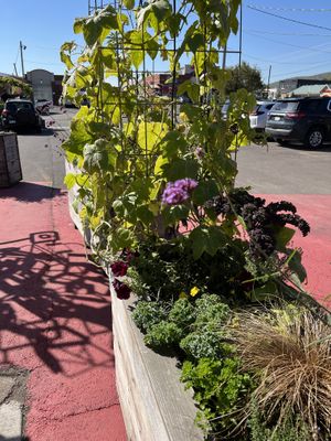   at Duluth Grill in Duluth