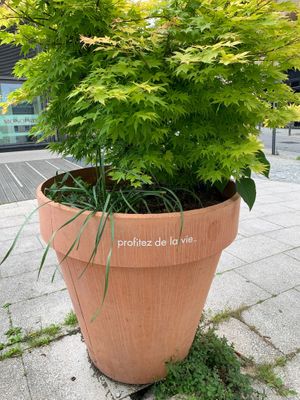 Positive inspiration inside & out at Potiron et Ciboulette in Angers
