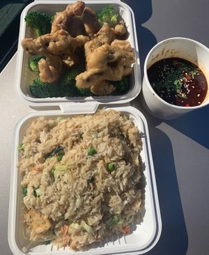 Rolling Tango with Basil Fried Rice at Loving Hut - Barber Lane - Maybe closed in Milpitas