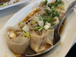 Wonton dumplings  at Loving Hut - Barber Lane - Maybe closed in Milpitas