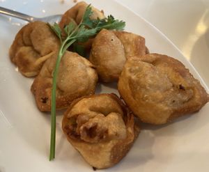 Fried wonton  at Loving Hut - Barber Lane - Maybe closed in Milpitas