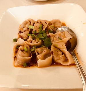 Spicy wontons - yum! at Loving Hut - Barber Lane - Maybe closed in Milpitas