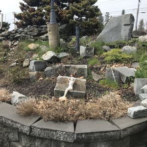 Relaxing outside the restaurant at Seng Thai in Belfast