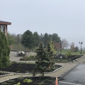 Pretty outdoor area to enjoy  at Seng Thai in Belfast