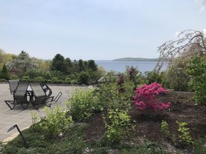 Beautiful back view at Seng Thai in Belfast