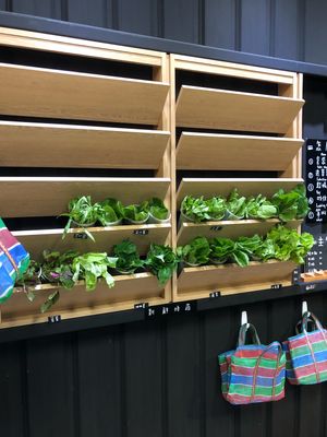 All ingredients are fresh!  at Shū Niàn - Vegine  in Taitung