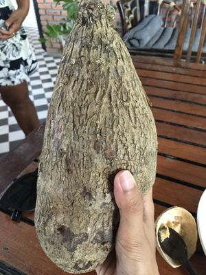 The owner is growing this type of root vegetable, which she also put in my dish. It tasted like a potato.  at Bar Ang in Battambang