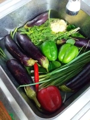 Todays fresh veggie haul for Bar Ang from a buddies farm in Samlot where
Angie Jolliet grows millions of mangos. at Bar Ang in Battambang