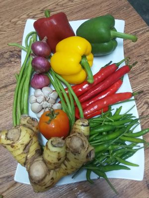 Some of the good stuff for the base of our incredible sour soup. Organic oyster mushrooms from a buddies farm form the texture base and young tamarind leaf the flavour.  at Bar Ang in Battambang