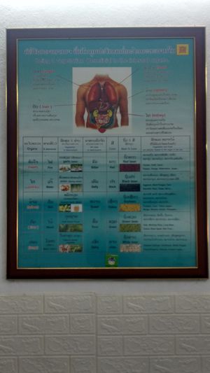 the benefits of being vegan at Kaun Im Yok in Vientiane