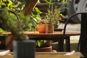  at Cafe VegaNation in Siliguri