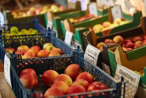 In late summer and autumn we are selling our own organic apples at Mormors Bakeri in Karlshamn