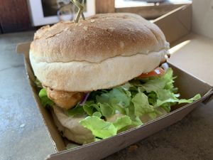 Just ‘Fish’ burger. Very delicious! at BayGer in Byron Bay