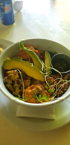 Buddha bowl at The Garden Café in Granada