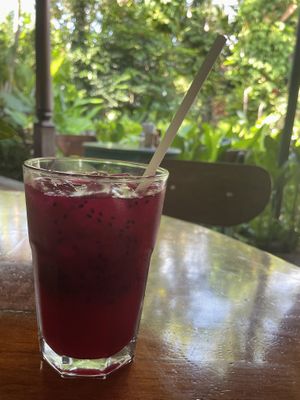   at The Garden Café in Granada