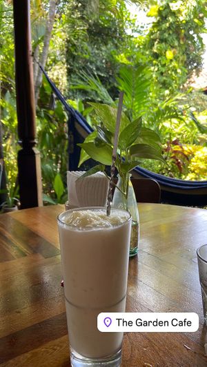   at The Garden Café in Granada