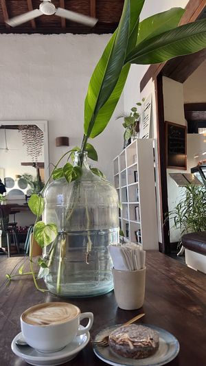 Vibe  at The Garden Café in Granada