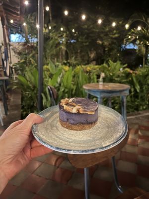 Vegan blueberry cheesecake   at The Garden Café in Granada