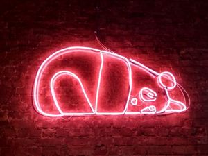 Cute panda logo at Baby Bao in South West London