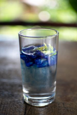 Butterfly Pea Tea picked straight from the garden at EasyLife Bungalow in Koh Lanta