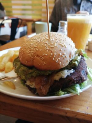  at Daruma in Puerto Montt