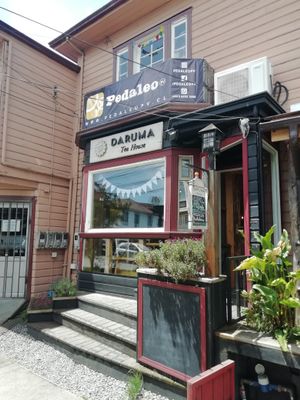 Daruma at Daruma in Puerto Montt