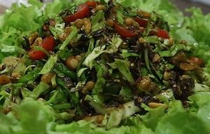 Tea Leaf Salad
Best in Chiang Mai at Shan Vegan Food in Chiang Mai