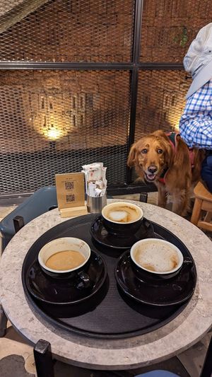  at The Hand Coffee in Kusadasi