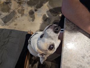  at The Hand Coffee in Kusadasi