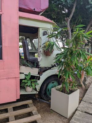 It has its own ecosystem at Cruising Smoothly in Weligama