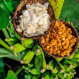 Coconut-nectar toasted lentils and coconut flake toppings at Cruising Smoothly in Weligama