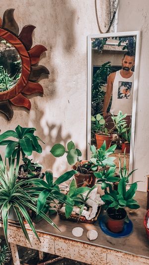 The secret garden is amazing at Orgánico in Merida