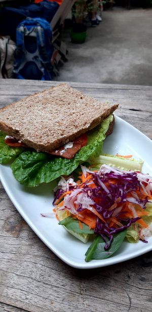 Vegan blt at Orgánico in Merida