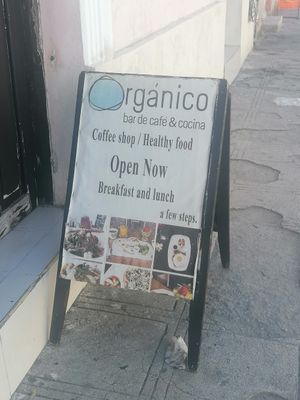  at Orgánico in Merida