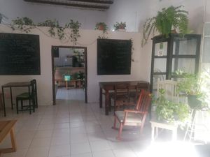  at Orgánico in Merida