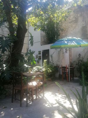  at Orgánico in Merida