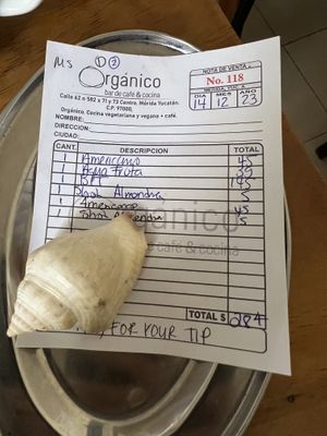   at Orgánico in Merida