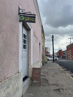   at Orgánico in Merida