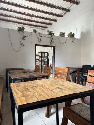   at Orgánico in Merida