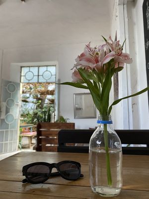 Interior   at Orgánico in Merida