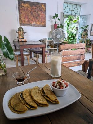 Vegan chorizo quesadillas with Pico de gallo and horchata at Orgánico in Merida