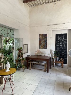   at Orgánico in Merida