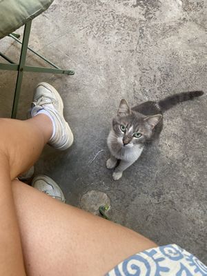   at Village in Istanbul