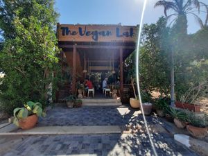 An oasis in Dahab at The Vegan Lab in Dahab