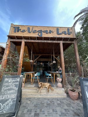 The restaurant 🫶🏻  at The Vegan Lab in Dahab