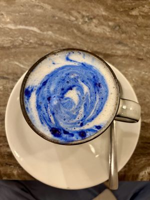   at The Vegan Lab in Dahab