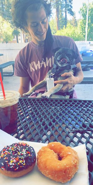 vegan donuts at Dank Donuts in Big Bear Lake