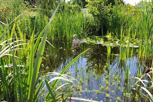 eat al fresco in our tranquil garden at The Phoenix Vegetarian Restaurant & Accommodation in Castlemaine