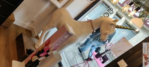 Amazing unicorn at La Licorne de Victorine in Bayonne