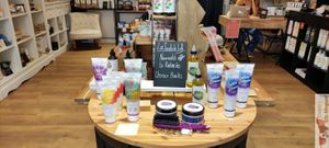 Shampoing at La Licorne de Victorine in Bayonne